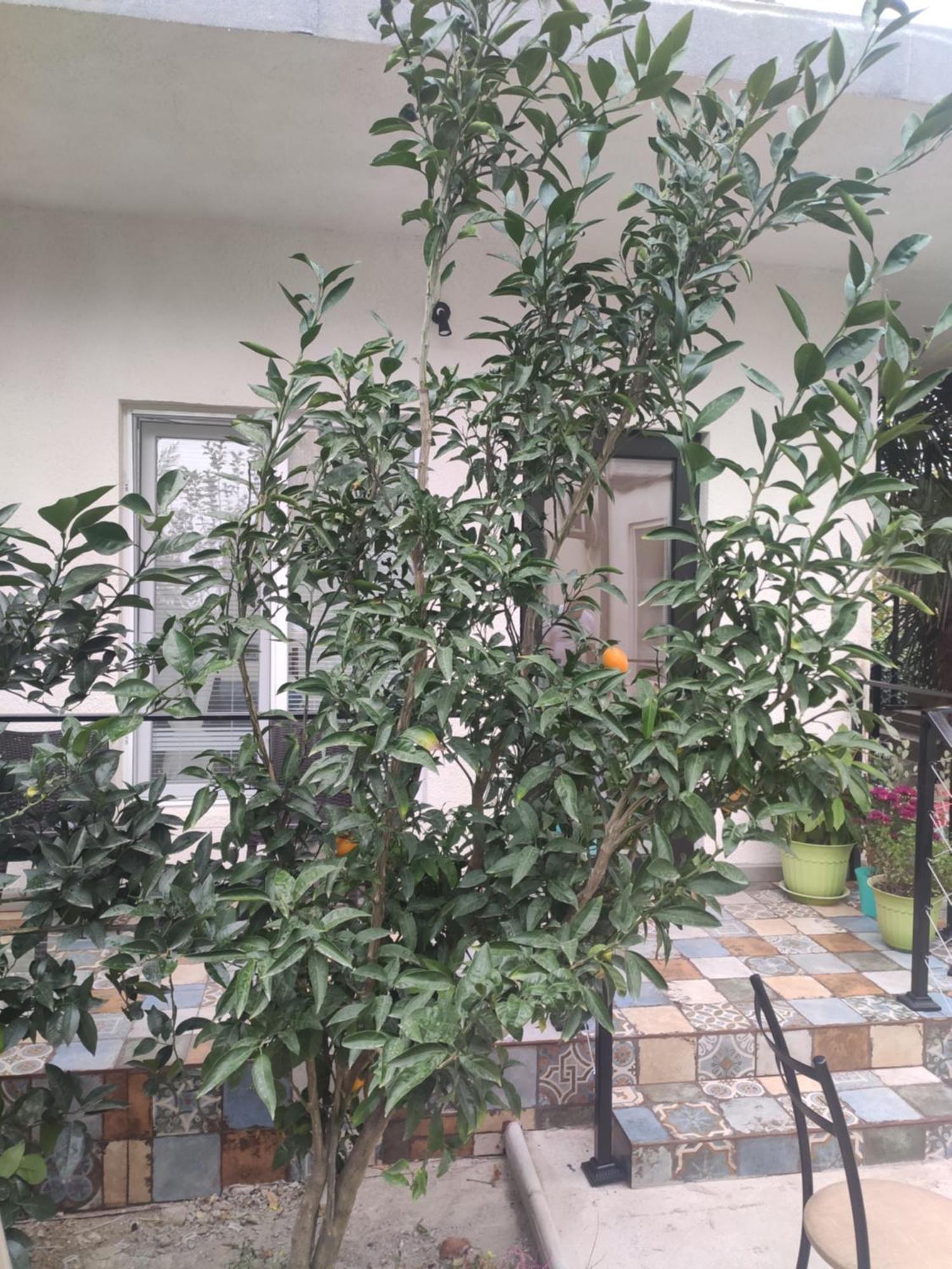 Family Нotel Banuri Kutaisi Exterior foto